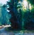Sunrise Pines by Tracy Wall | Mixed Media on Stretched Canvas Landscape with Pine Trees and Road For Sale - Image 4 of 4