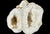 Large Natural Split Pair Crystal Quartz Geode. #2 For Sale - Image 9 of 12