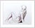 Contemporary "Quick Sketch Vi" Contemporary Original Figure Drawing by Kathleen Ney, Tasteful Nude For Sale - Image 3 of 5