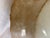 Mid 19th Century Asiatic Pheasant Platter For Sale - Image 14 of 14