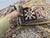 Gold Kazak Wool Rug With Three Medallions, 3'6" X 4'9" For Sale - Image 15 of 16