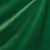 SAMPLE - Schumacher Alistair Indoor/Outdoor Velvet Fabric In Verdant For Sale