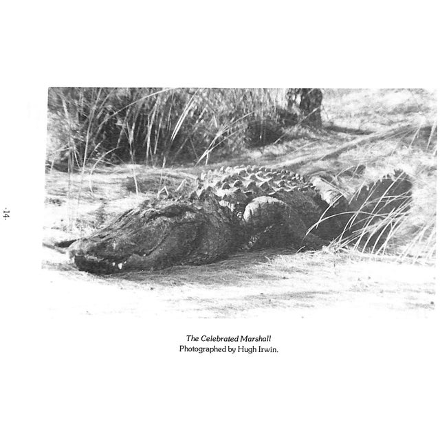 "Jaws, Too: The Story of Sanibel's Alligators and Other Crocodilians" 1981 Campbell, George R. For Sale - Image 10 of 10