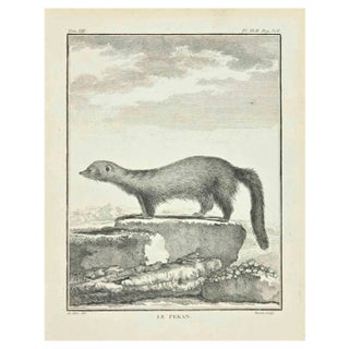 Louis Legrand, Le Pekan, Etching, 1771 For Sale