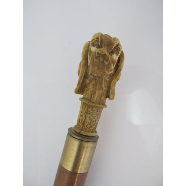 Victorian Style Carved Wood Dog Head Smugglers Cane Walking Stick W/Hidden Flask For Sale - Image 4 of 10