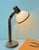 Mid-Century Flexible Head Wooden Table Lamp from Steinhauer, 1970s For Sale - Image 6 of 14