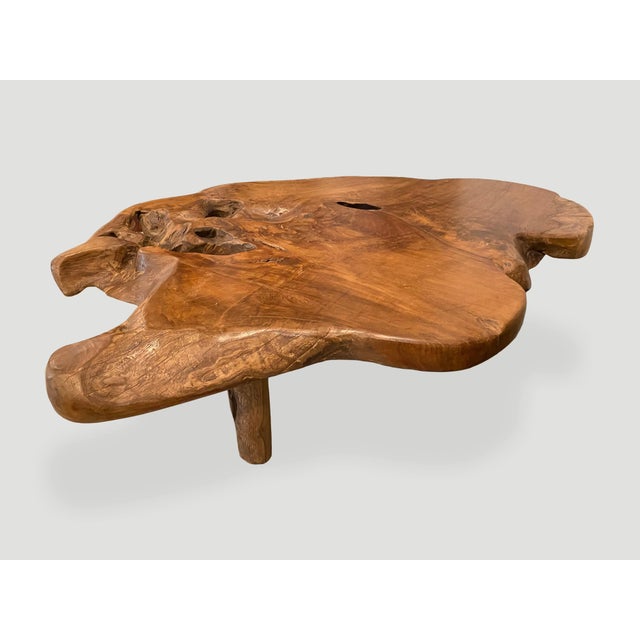Andrianna Shamaris Organic Teak Root Coffee Table For Sale - Image 4 of 18
