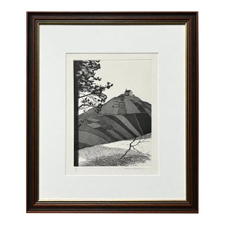 1969 David Hockney “A Wooded Landscape” Framed Etching, Edition 53/100 With Certificate of Authenticity For Sale