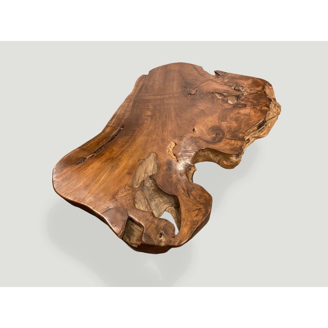 Andrianna Shamaris Single Slab Live Edge Teak Wood Coffee Table For Sale - Image 4 of 6