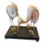 Giulia Mangani for Ogetti Porcelain & Gilded Brass Herons on Black Platform For Sale