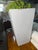 Botanical Mix Floor Arrangement For Sale In Dallas - Image 6 of 7