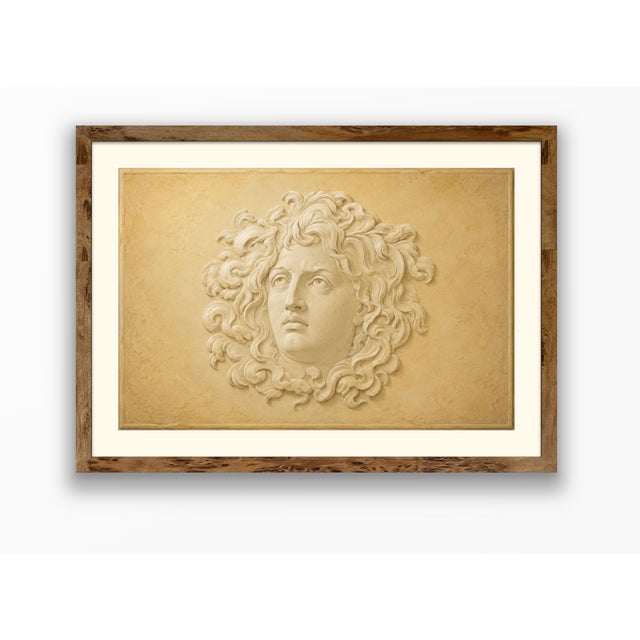 Atelier Aria Lumae Wilhelm Zahn Style Pompeian Medusa Gorgoneion Trompe lOeil Relief Fine Art Gallery Board Print 30 X 20 For Sale - Image 17 of 18