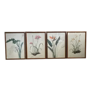 Vintage Botanical Prints-Framed Series of 4 by Artist Thalia Lincoln