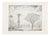 Jean Adam, Landscape, 1967, Lithograph For Sale