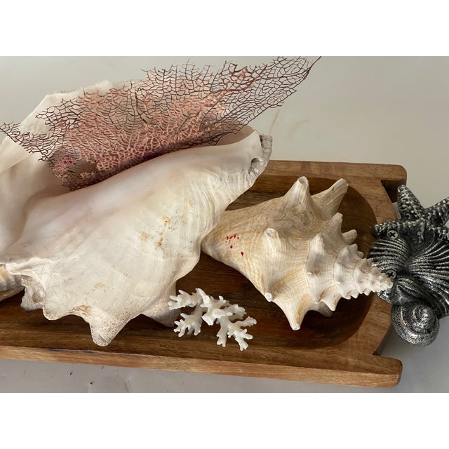 Beautiful sea Shell arrangement with sea whip and coral on wooden tray with cast metal sea shells as handles.
