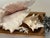 Beautiful sea Shell arrangement with sea whip and coral on wooden tray with cast metal sea shells as handles.