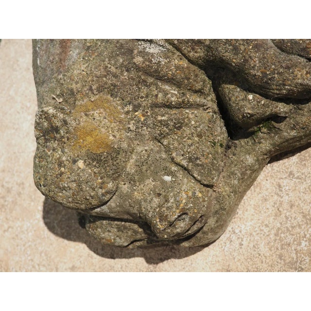 English Weathered Cast Stone Pig and Piglets From England, 20th C. For Sale - Image 3 of 13