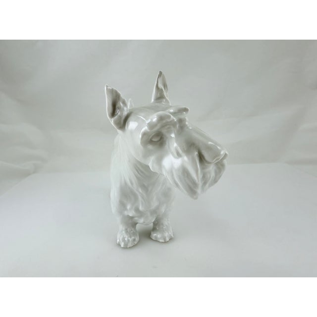 Figurative Meissen Blanc De Chine Porcelain Scottish Terrier For Sale - Image 3 of 9