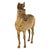 Antique Austrian Franz Bergman Cold Painted Bronze Zebra Quagga Sculpture Statue For Sale - Image 4 of 14