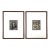 1951 Bruce of Los Angeles Original Vintage Male Physique Photographs | Framed Pair, Queer Visual Culture For Sale