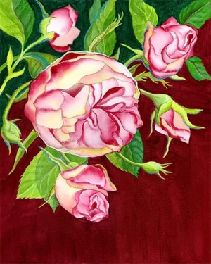 Original Framed Floral Painting by Kathleen Ney, "Opening Rose"