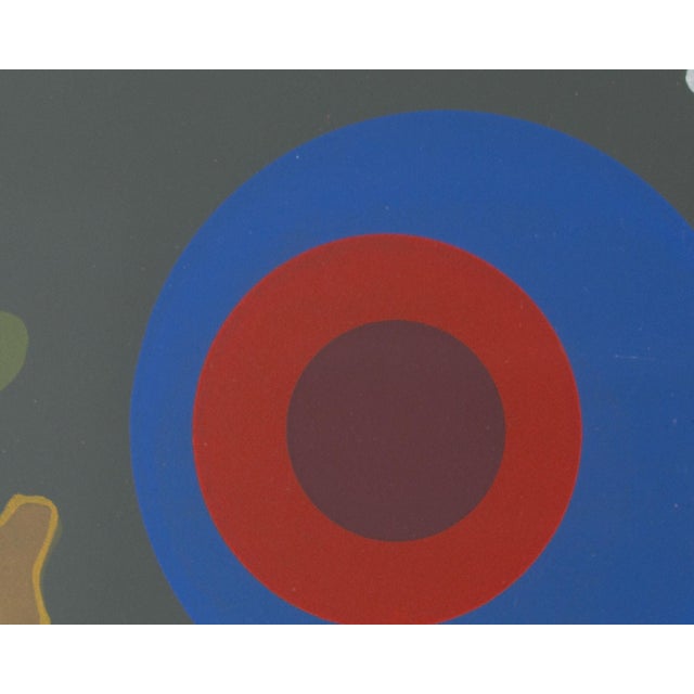 1970s 1975 “Amoeba” Serigraph Print by Thelma Confer For Sale - Image 5 of 9