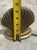 Mid 20th Century Vintage Mid Century Style Clam Shell Shape Solid Brass Wired Table Lamp For Sale - Image 5 of 6