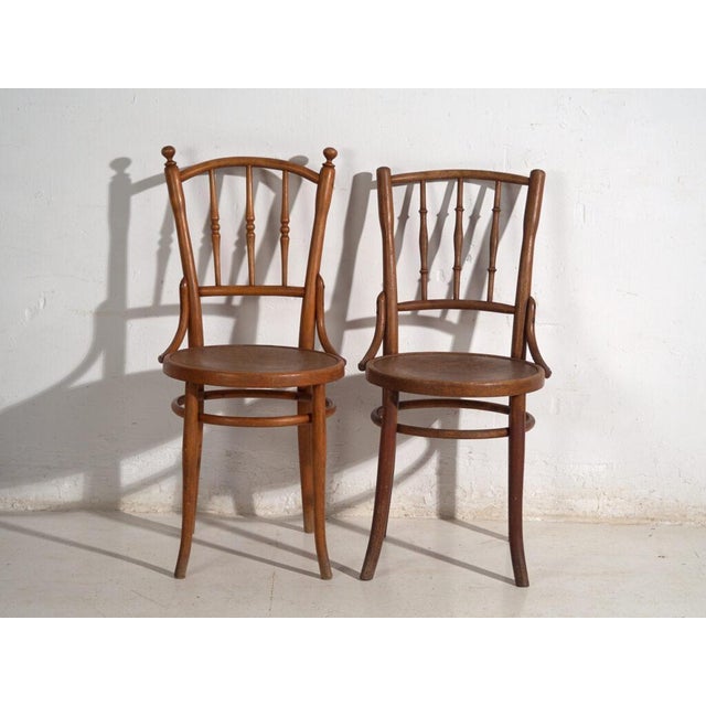 Antique Bentwood Chairs, Central Europe, 1900s, Set of 4 For Sale - Image 9 of 13