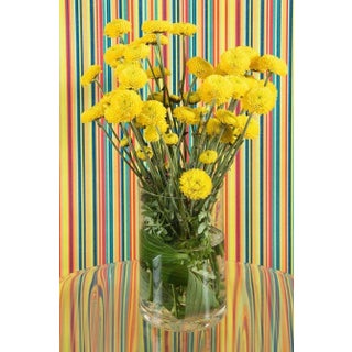 "Elijah" Contemporary , Pop Art Style Limited Edition Photograph by Zeren Badar For Sale