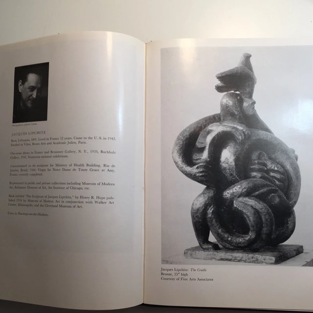 Blue American Painting Contemporary American Artists Books - Set of 2 For Sale - Image 8 of 11