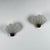 Coquille Wall Lights in Brass and Glass from Asea, Sweden, 1940s, Set of 2 For Sale - Image 10 of 18