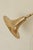 Vintage Trump Shape Lights in Brass by Börje Claes for Norlett Elit, 1960s, Set of 2 For Sale - Image 4 of 18