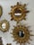 1960s Mid Century Italian Giltwood Sunburst Wall Mirror For Sale - Image 17 of 17
