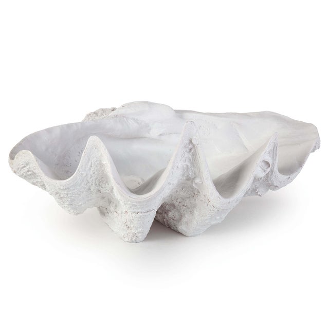 Traditional Regina Andrew Bimini Clam For Sale - Image 3 of 6