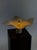 Area Table Lamp by Mario Bellini for Artemide, 1970s For Sale - Image 6 of 12
