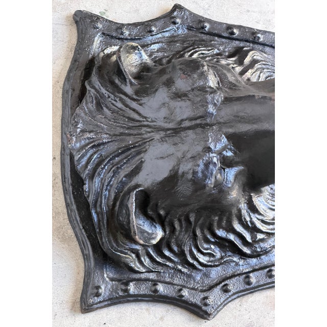 Large 19th C. American Cast-Iron Lion Shield Medallion, Architectural Ornament For Sale - Image 17 of 18