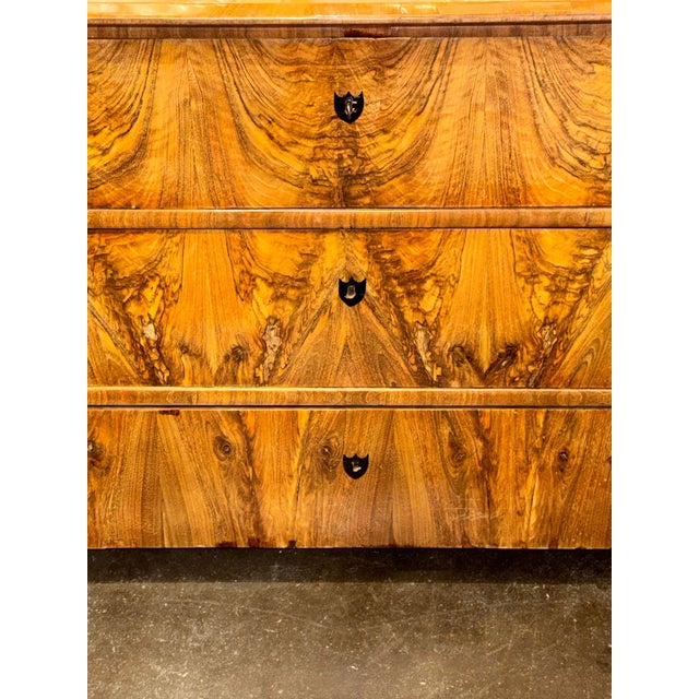 Biedermeier 19th C. German Biedermeier Walnut Commode For Sale - Image 3 of 6
