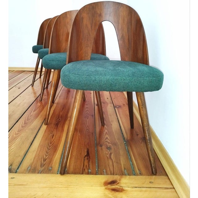 Dining Chairs by A. Suman for Tatra Nabytok, Former Czechoslovakia, 1960s, Set of 4 For Sale - Image 5 of 18