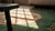Early 19th Century Antique Green Color First Empire Floral Medallion Design French Aubusson Flatweave Rug Carpet For Sale - Image 10 of 10