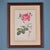 Brown Pierre-Joseph Redouté, Roses, 1950s, Lithographs, Framed, Set of 2 For Sale - Image 8 of 17