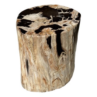 Side Table in Petrified Wood with Black Spots, 1980s For Sale