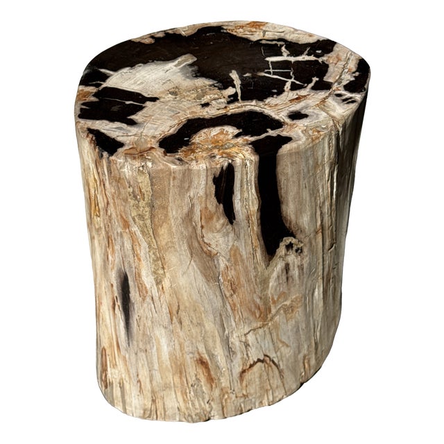 Side Table in Petrified Wood with Black Spots, 1980s For Sale