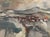 This oil on linen is a fascinating gem. Amazing abstract expressionistic painting of a landscape where a village meets...