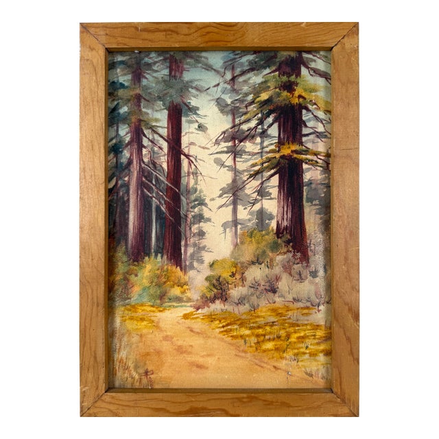 "Redwoods Richdale Corralitos" 1912 Original Watercolor by Minnie MaGill Pardee For Sale