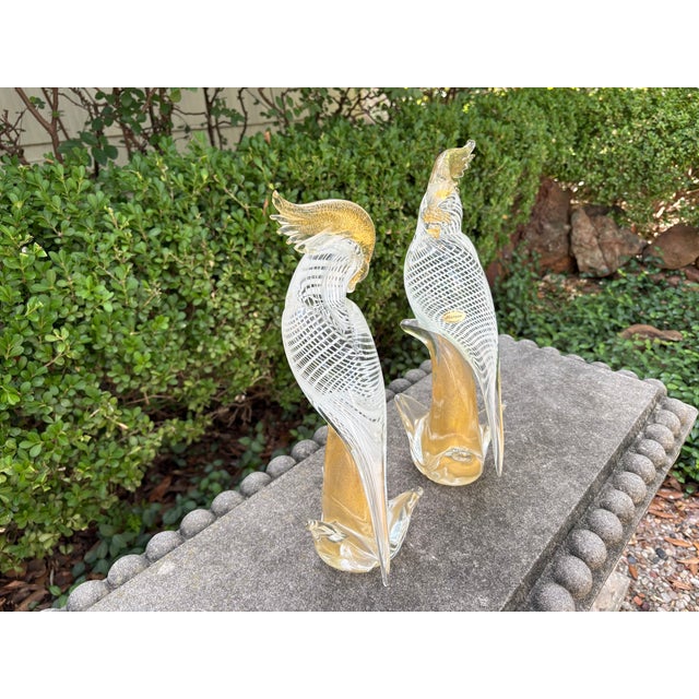 Antonio Salviati 1950s Pair of Murano Glass Parrots For Sale - Image 4 of 11