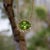 Italian Natural Sapphire Diamond Halo Pendant With Chain 18" 14k YG 3.14 TCW Certified For Sale - Image 3 of 13