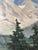 Early 21st Century This Too Shall Pass by Judd Mercer | Oil on panel Landscape of mountains and trees under a blue sky. For Sale - Image 5 of 5