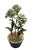 A charming vintage mid-century tôle peinte (painted tin) floral topiary centerpiece featuring three beautifully...
