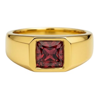 Signet Ring With Garnet for Men Silver, Gold, Size 10 For Sale
