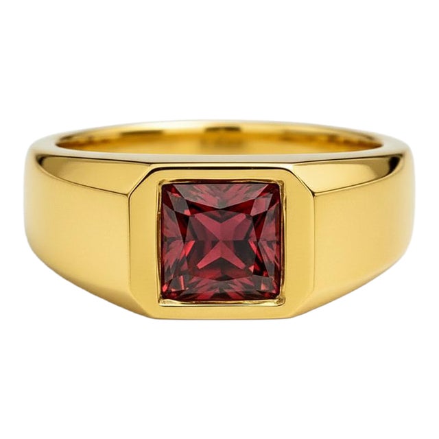 Signet Ring With Garnet for Men Silver, Gold, Size 10 For Sale